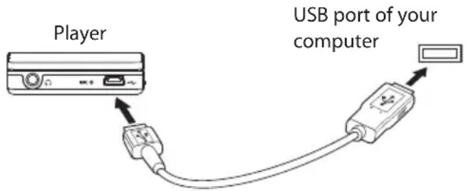 AUDIOVOX SL5008 - Connecting to the computer - 1
