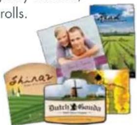 rolls. Shinaz Dutch Canada