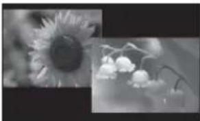 SONY DPF-D72NW - Slideshow display - 6