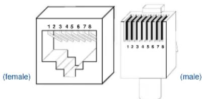 AMX NXA-ICSNET - ICSNet Port: Connections and Wiring - 2