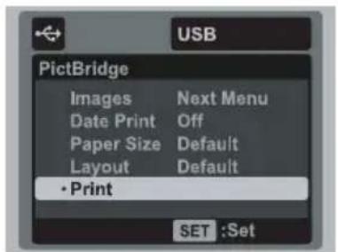 AGFAPHOTO Optima 830UW - Printing images - 5