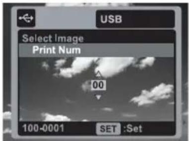 AGFAPHOTO Optima 830UW - Printing images - 3