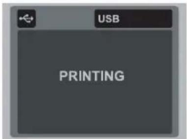 AGFAPHOTO Optima 830UW - Printing images - 6