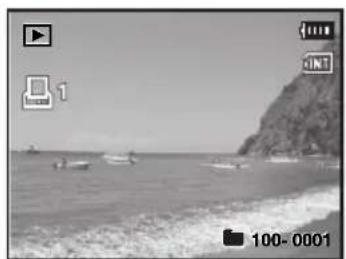 AGFAPHOTO Optima 830UW - DPOF Settings - 4