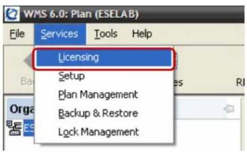 AVAYA DS1410026 - Access the Wireless LAN Management Software services licensing configuration page by clicking Services then Licensing in the Wireless LAN 2300 Management Software client. - 1