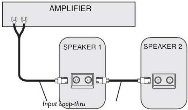 Bogen AMT-12 - Daisy-Chaining Speakers - 1