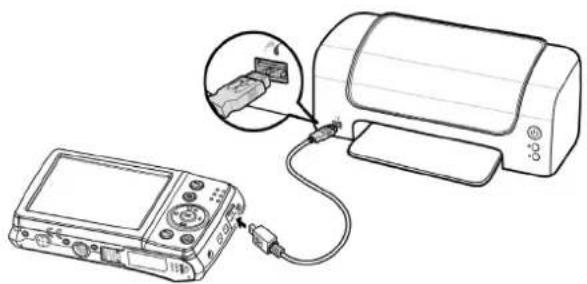 BENQ 9H.A2H01.9AA - Connecting the Camera to a Printer - 1