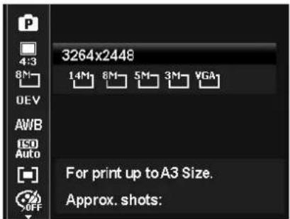 3264x2448 1.4M 8M 5M 3M VGA For print up to A3 Size. Approx. shots: