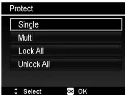 Protect Single Multi Lock All Unlock All Select OK OK