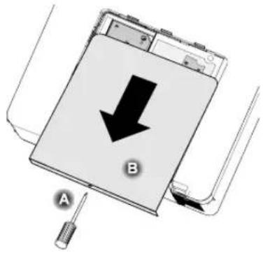 A B