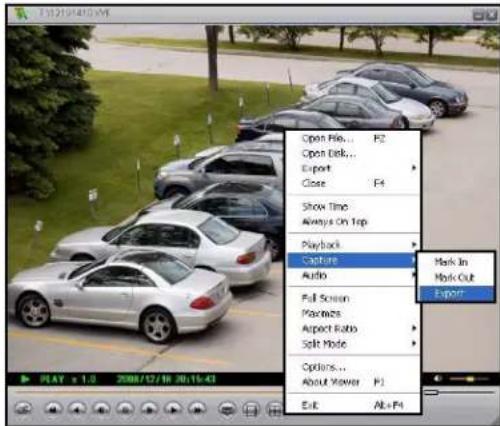 Lorex L114V251 - Capture - 1
