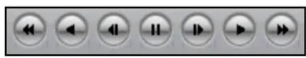 Lorex L114V251 - Playback Options - 1