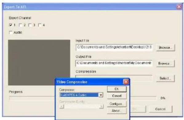 Lorex L114V251 - Exporting to AVI - 1