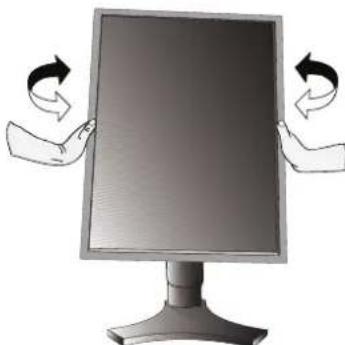 NEC MDG3MP-BNDL - Swivel - 1