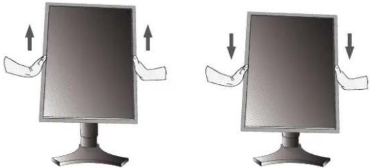 NEC MDG3MP-BNDL - Raise and Lower Monitor Screen - 1
