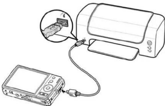 PHILIPS DSC122BL - Connecting the Camera to a Printer - 1