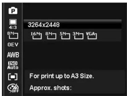 3264x2448 16M 8M 5M 3M VGA For print up to A3 Size. Approx. shots: