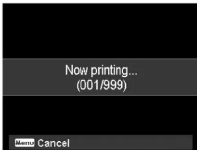 Now printing... (001/999) Menu Cancel