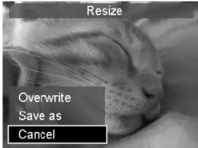 Resize Overwrite Save as Cancel