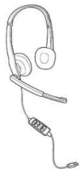 PLANTRONICS 80299-03 - Technical Assistance - 2