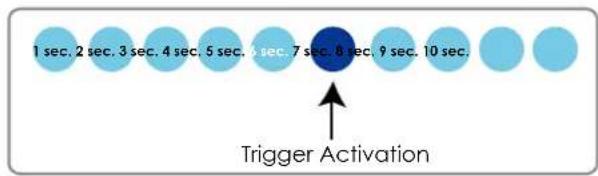 1 sec, 2 sec, 3 sec, 4 sec, 5 sec, 6 sec, 7 sec, 8 sec, 9 sec, 10 sec. Trigger Activation