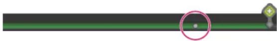 ADOBE Captivate 5.5 (Mac) - Edit comments in the SWF file - 1