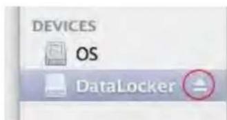 DEVICES OS DataLocker