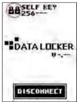SELF KEY 256--- DATA LOCKER U-- DISCONNECT