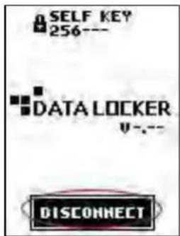 SELF KEY 256--- DATA LOCKER U---- DISCONNECT