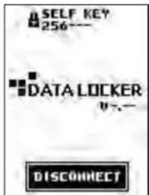 SELF KEY 256--- DATA LOCKER "-.- DISCONNECT