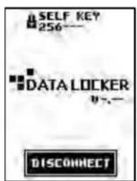 SELF KEY 256— DATA LOCKER 0.- DISCONNECT