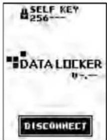 SELF KEY 256--- DATA LOCKER " - - DISCONNECT