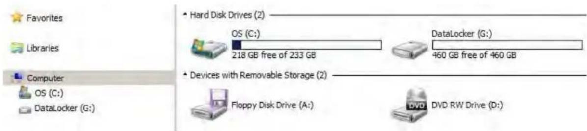 Favorites Libraries Computer OS (C:) DataLocker (G:) Hard Disk Drives (2) OS (C:) 218 GB free of 233 GB DataLocker (G:) 460 GB free of 460 GB Devices with Removable Storage (2) Floppy Disk Drive (A:) DVD DVD RW Drive (D:)