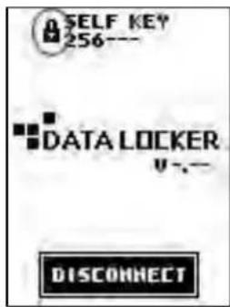 SELF KEY 256--- DATA LOCKER U---- DISCONNECT