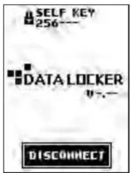 SELF KEY 256— DATA LOCKER DISCONNECT
