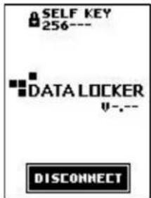 SELF KEY 256--- DATA LOCKER ----- DISCONNECT