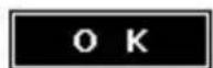Origin Storage DL3 FIPS Edition - LCD Contrast - 4