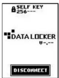 SELF KEY 256--- DATA LOCKER v-.---- DISCONNECT
