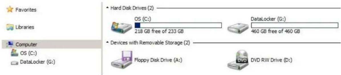Favorites Libraries Computer OS (C:) DataLocker (G:) Hard Disk Drives (2) OS (C:) 218 GB free of 233 GB DataLocker (G:) 460 GB free of 460 GB Devices with Removable Storage (2) Floppy Disk Drive (A:) DVD DVD RW Drive (D:)