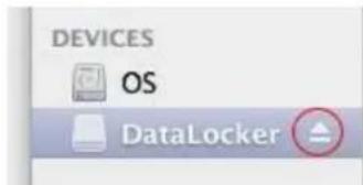 DEVICES OS DataLocker