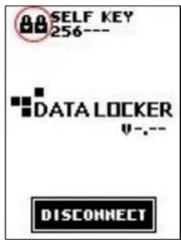 SELF KEY 256--- DATA LOCKER v-.-- DISCONNECT