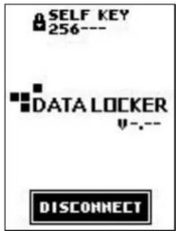 SELF KEY 256--- DATA LOCKER v-.---- DISCONNECT