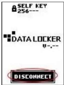 SELF KEY 256--- DATA LOCKER v-.-- DISCONNECT