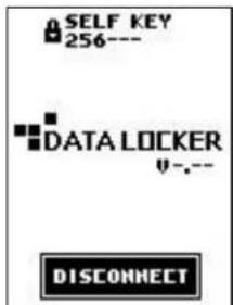 SELF KEY 256--- DATA LOCKER ---. DISCONNECT