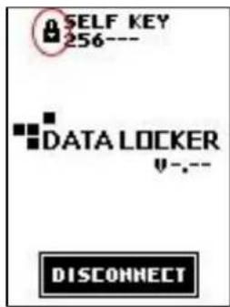 SELF KEY 256--- DATA LOCKER U-.--- DISCONNECT