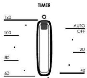 TIMER 120 100 80 60 AUTO OFF 20 40
