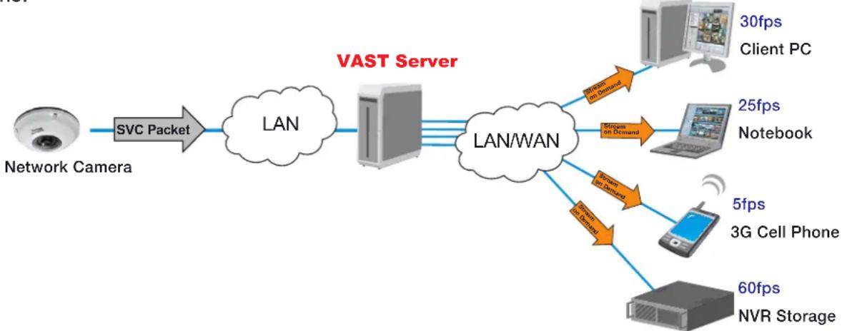 Vivotek SF8172V - SVC - 1