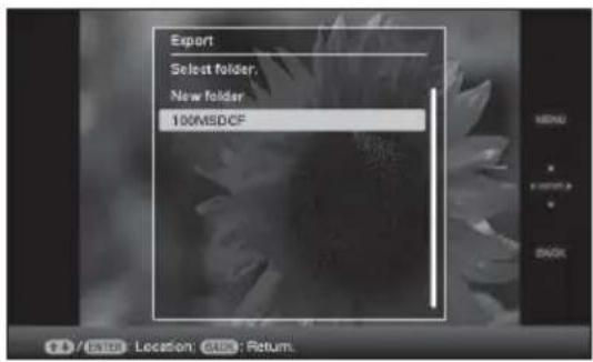 Export Select folder. New folder. 100MSDCF