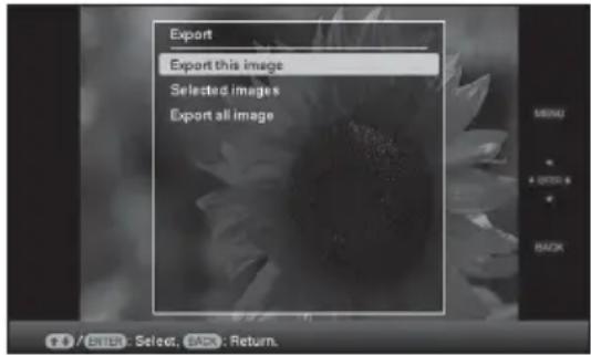 Export Export this image Selected images Export all image