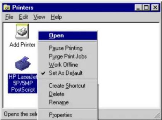 LEVELONE WPS-0100USB - Windows Printing Problems - 5